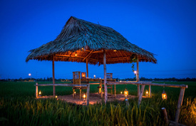 ROMANTIC DINING ON PADDY FIELD