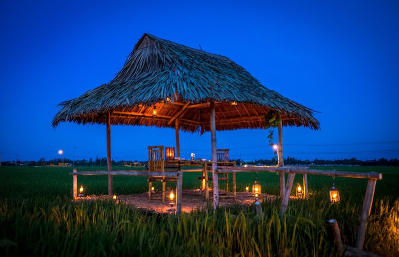 Romantic Dinning on Paddy Field in Hoi An  photo