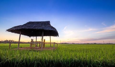 Romantic Dinning on Paddy Field in Hoi An Vietnam