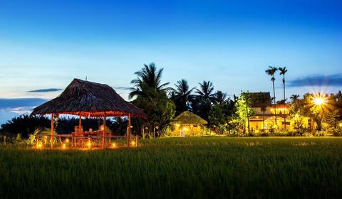 Romantic Dinning on Paddy Field in Hoi An Vietnam