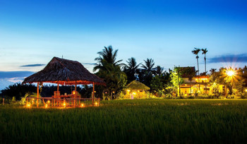 Romantic Dinning on Paddy Field in Hoi An  photo 4