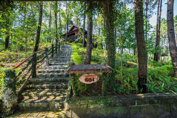 Sankofa Village Hill Resort and Spa photo 5