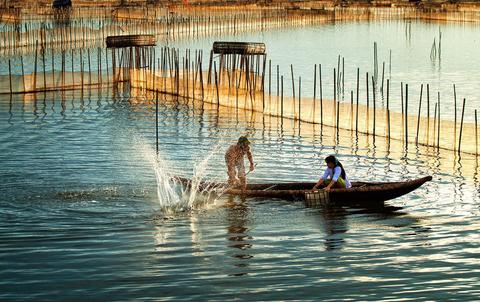 Chuon Lagoon Tour and Seafood Dinner Vietnam