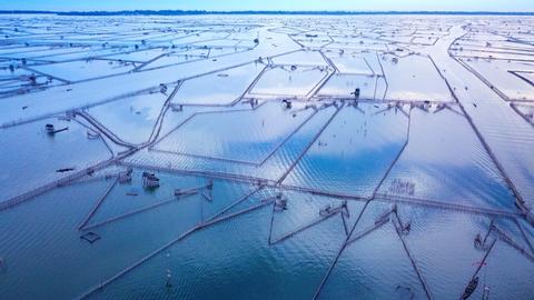 Chuon Lagoon Tour and Seafood Dinner Vietnam