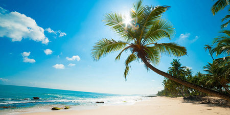 Beaches