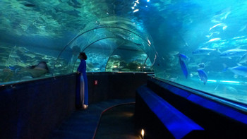 Nha Trang Culture Tour photo 4