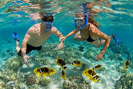 Islands and Snorkeling Tour