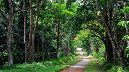Cuc Phuong National Park Hiking photo 3
