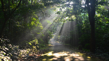 Cuc Phuong National Park Hiking photo 2