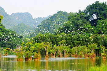 Thung Nham Bird Park Tour photo 3