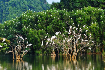Thung Nham Bird Park Tour photo 2