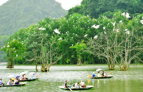 Thung Nham Bird Park Tour