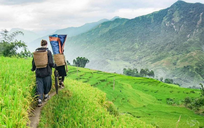 Sapa – Hang Da – Hau Chu Ngai – Thanh Phu – My Son – Nam Cang photo