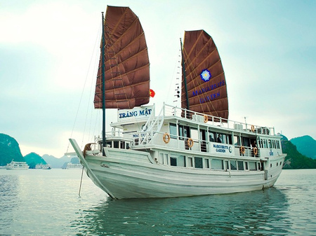 Boat Tours