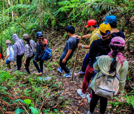 Hiking