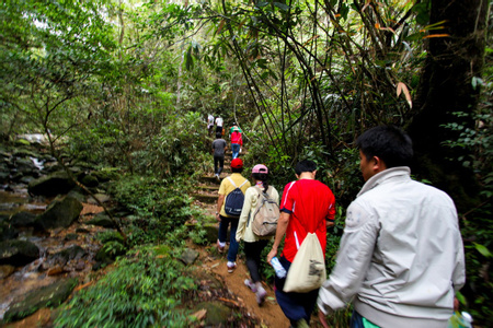 Nature Walk