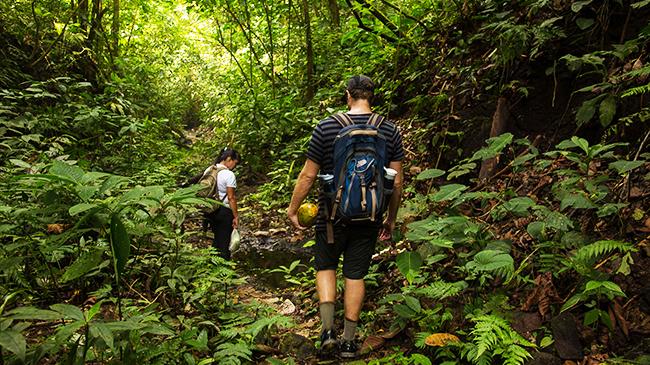 costa-rica-osa-trekking