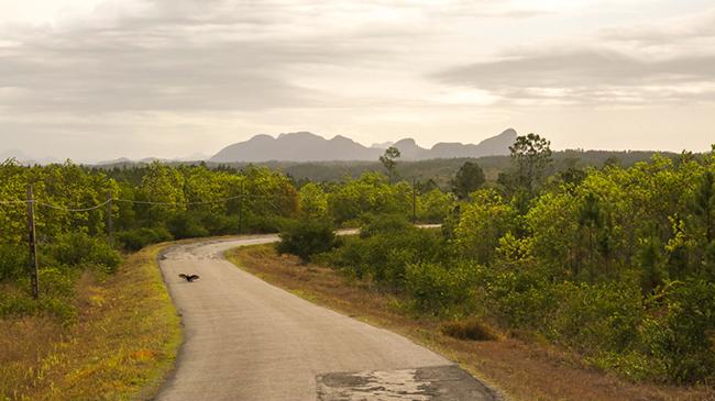 cuban%20road