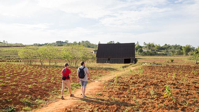 cuba%20plantation%20tours