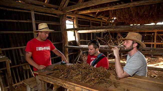 cuban%20cigars%20samples