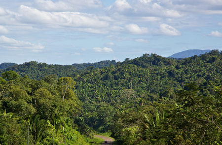 Belize Rainforest Destinations