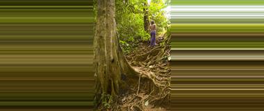 Belize Belize Tours con Caminatas