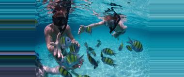 Belize Belize Snorkelling Tours