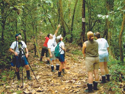 Costa Rica Rainforest