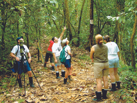 Costa Rica Rainforests
