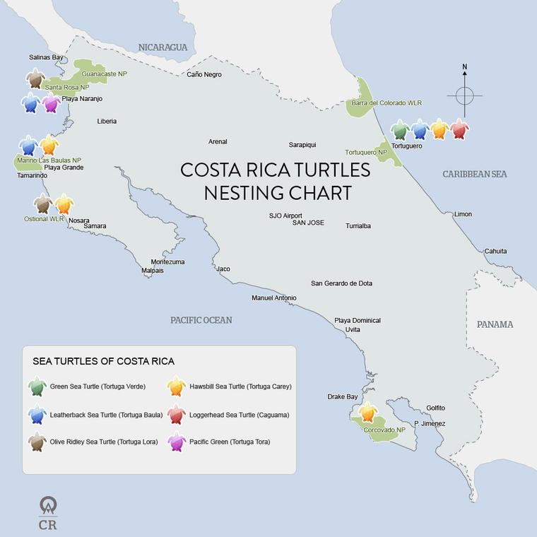 Turtle%20nesting%20map%20costa%20rica
