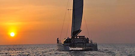Boat Tours