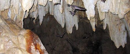 Cave Exploration