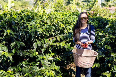 Coffee Tour