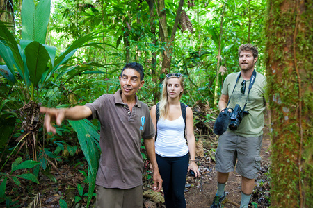 Guided Tours