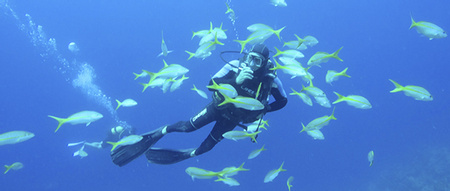 Scuba Diving