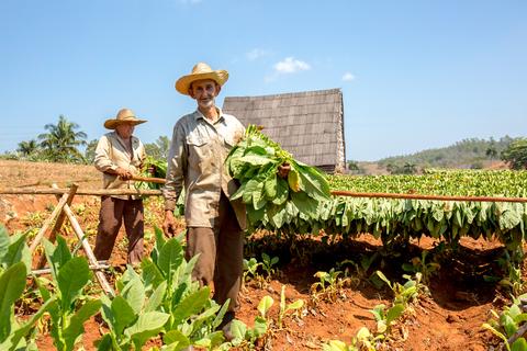 Destinos: Adónde Ir en Cuba