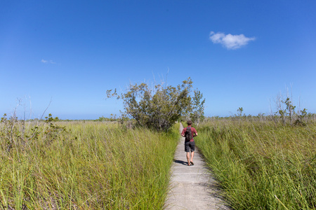 Off The Beaten Path