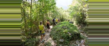Cuba Walking Tours and Activities in Cuba