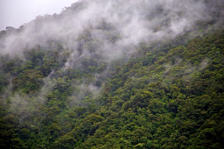 Ecuador Cloud Forests
