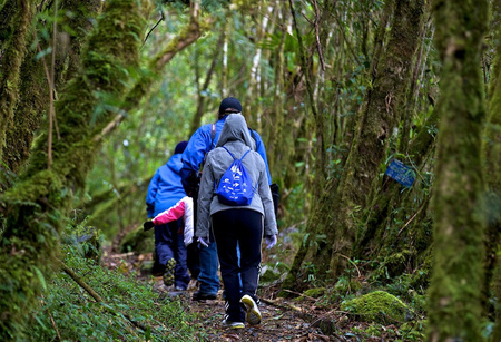 Ecuador Hiking Tours