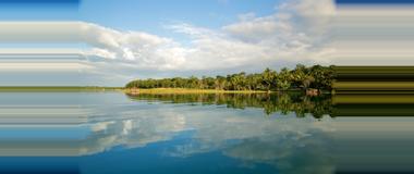 Guatemala Guatemala Mangrove Tours