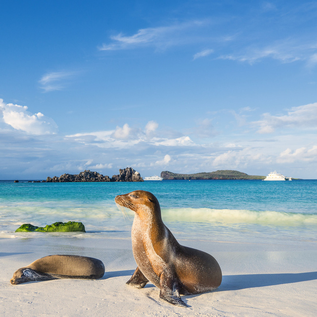 When to Visit Ecuador Image