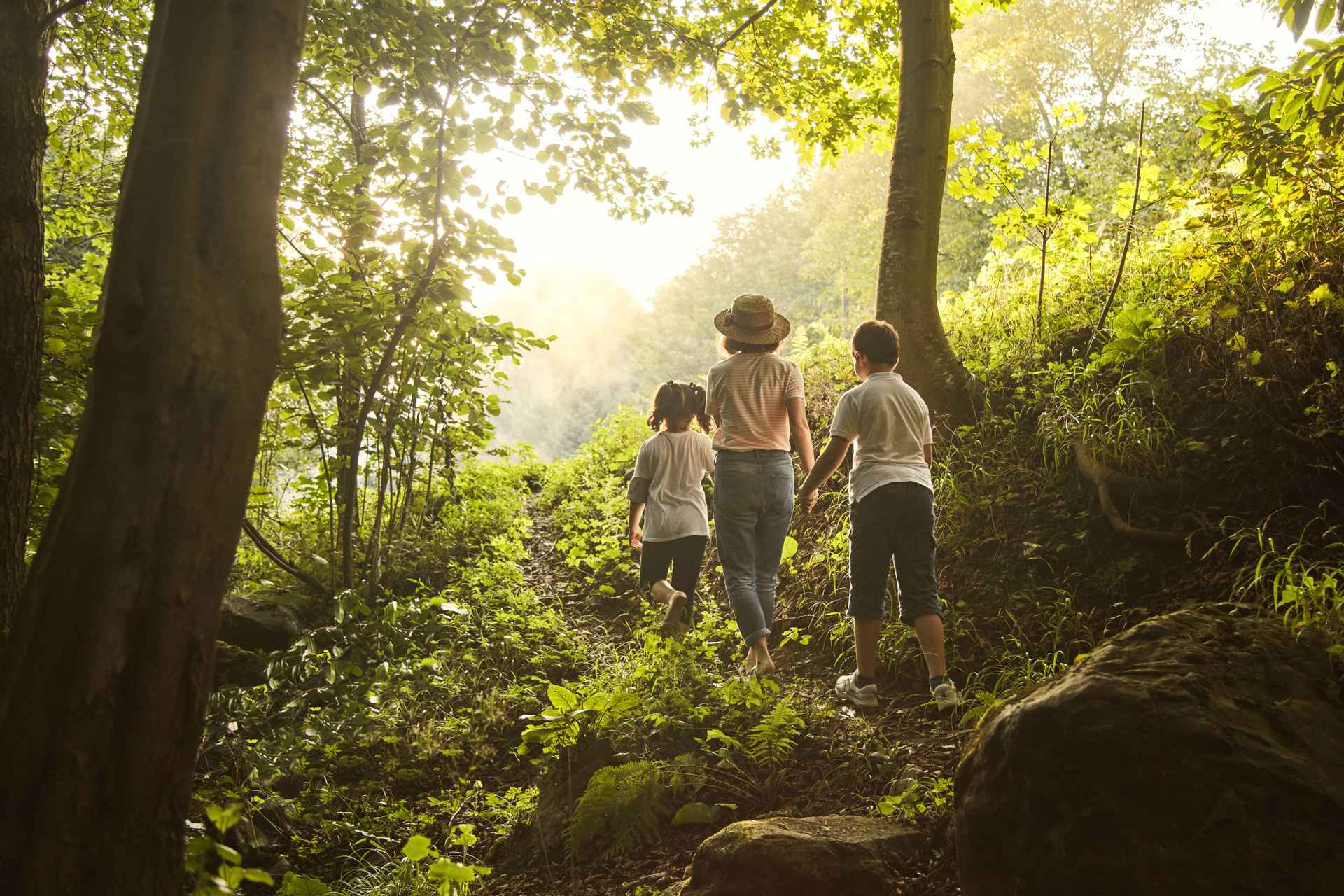 Travel Group