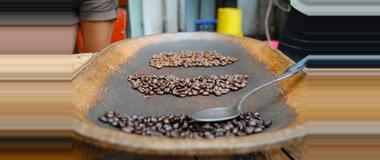 Panama Coffee Tours in Panama