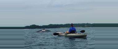Panama Kayaking Tours in Panama