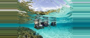 Panama Snorkeling Tours in Panama