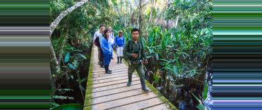 Peru Peru Nature Walks