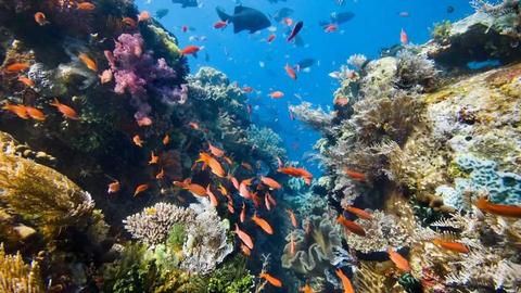Belize Family Vacation