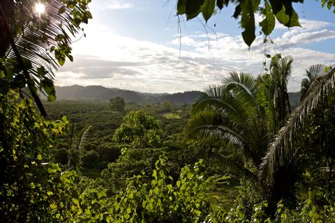 BELIZE NATURE VACATION