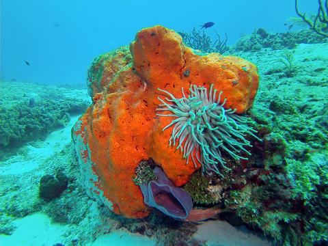 BELIZE NATURE VACATION